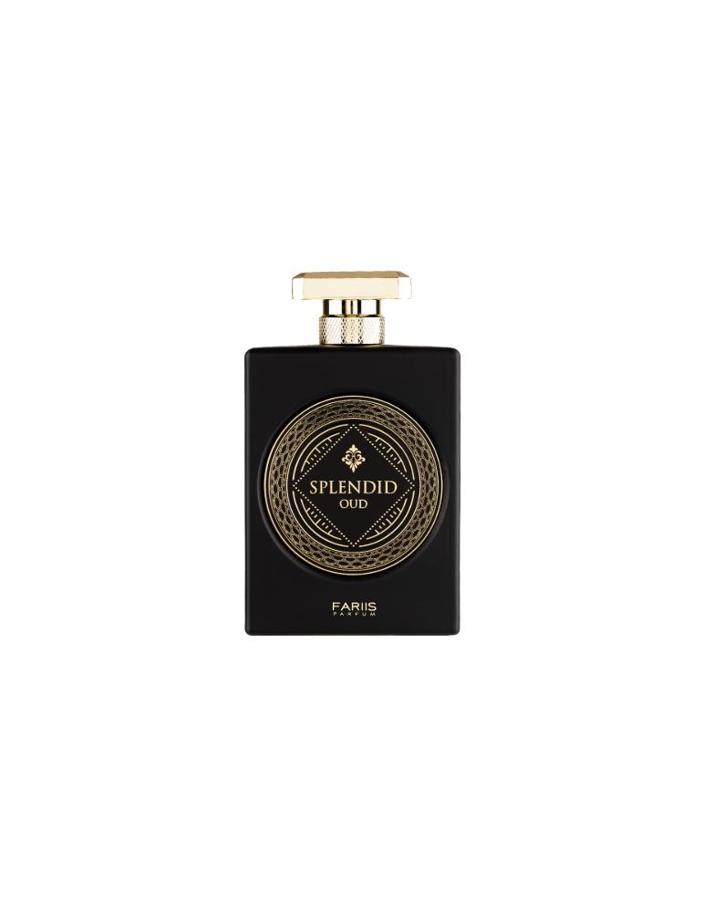 FARIIS SPLENDID OUD FOR MEN EDP 100 ML 