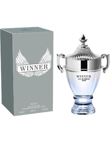 WINNER AQUA 100 ML 818